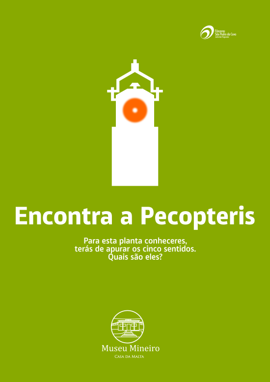 Pecopteris